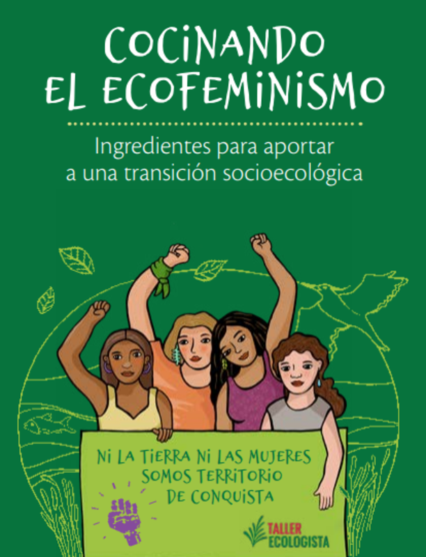 Cocinando el Ecofeminismo: ingredientes para aportar a una transición socioecológica