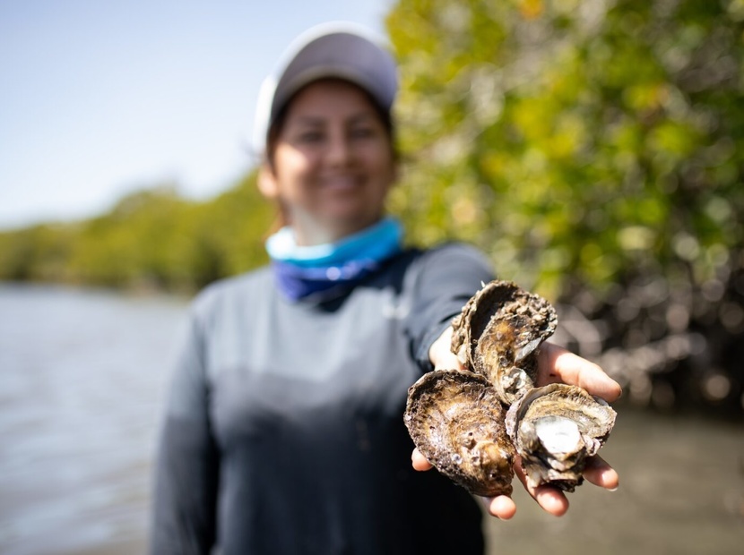 Lobas del Manglar: las pescadoras asumen el liderazgo para defender la pesca artesanal de bivalvos en Sinaloa