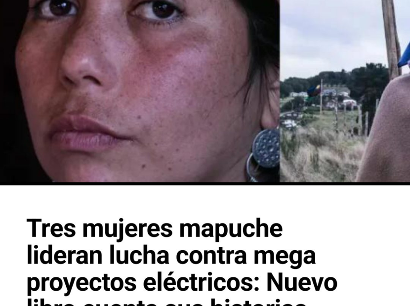 Tres mujeres mapuche lideran lucha contra mega proyectos eléctricos: Nuevo libro cuenta sus historias